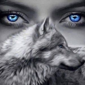 Meet your Posher, Todd